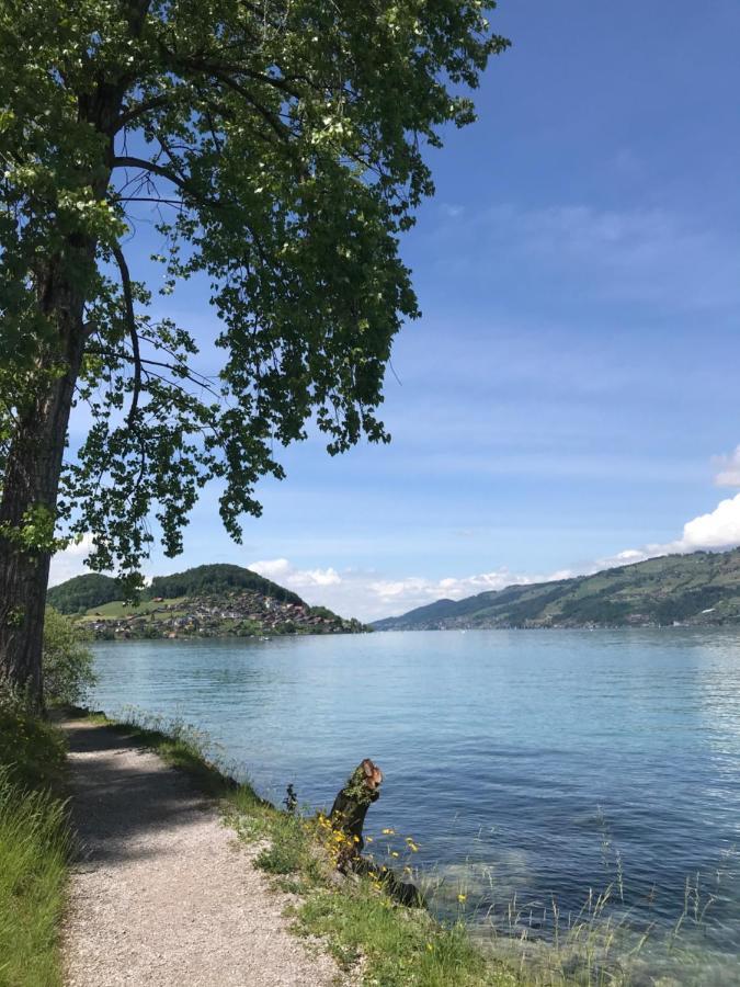 Moderne Unterkunft Mit Panoramablick Auf Thunersee Krattigen Exteriér fotografie